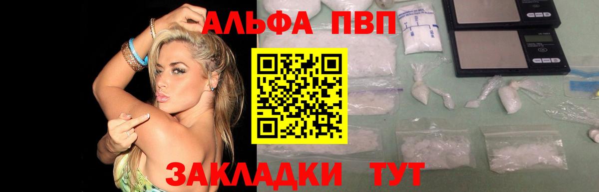 Альфа ПВП СК КРИС Котовск
