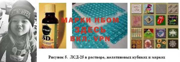эйфоретик Инсар