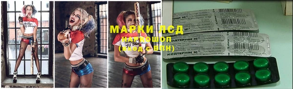 spice Мурманск
