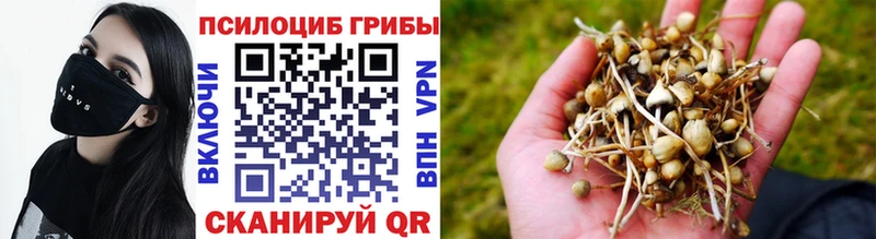 Псилоцибиновые грибы MAGIC MUSHROOMS  кракен   Котовск  где купить наркоту 