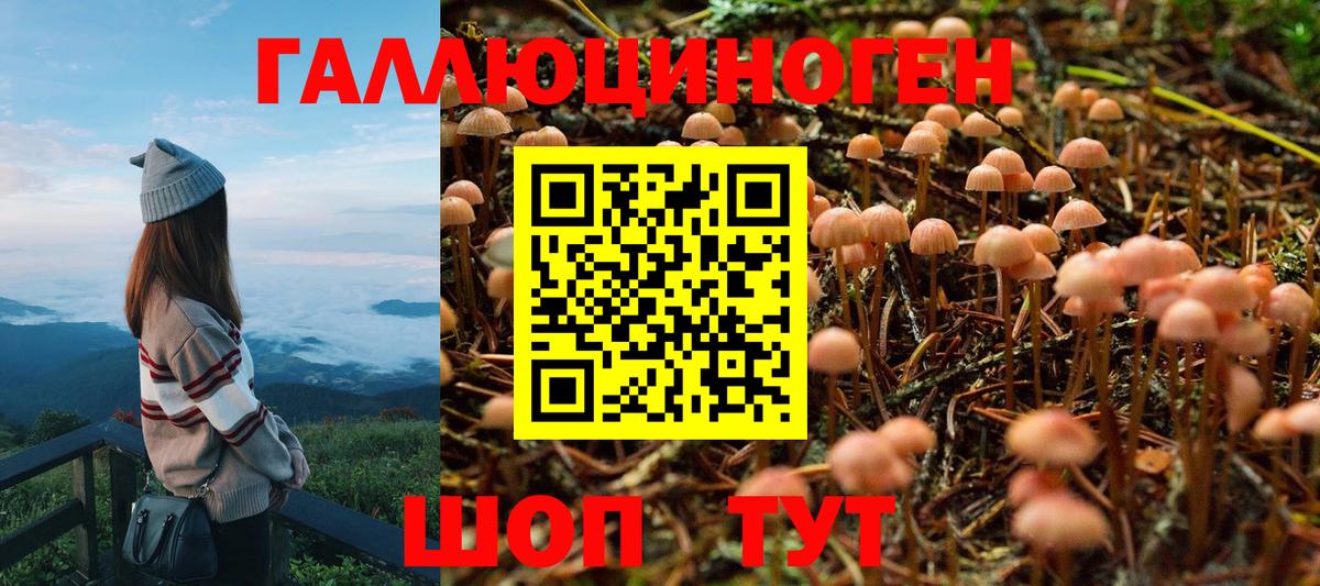 Галлюциногенные грибы Psilocybe  Галлюциногенные грибы Magic Shrooms  Вход с VPN  Котовск 